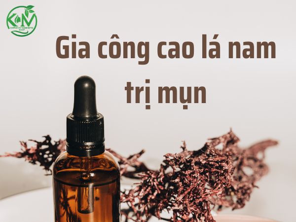 Gia công cao lá nam trị mụn